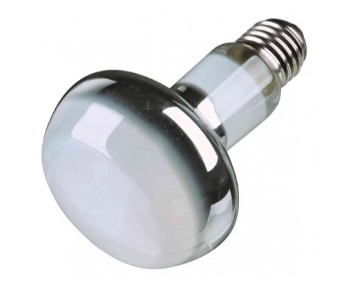 TRIXIE Lampadina Riscaldante 100W - Faretto Spot con Radiazione Infrarossa e UV-A per Terrari