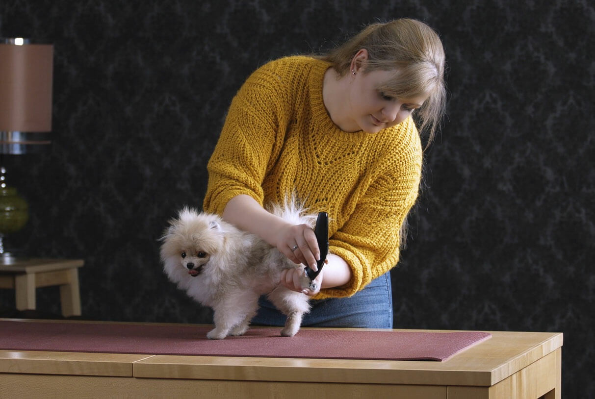 Moser Prima Tosatrice Professionale per Animali Domestici - Ergonomica, Senza Cavo, Autonomia 100 Minuti, Ricarica Rapida
