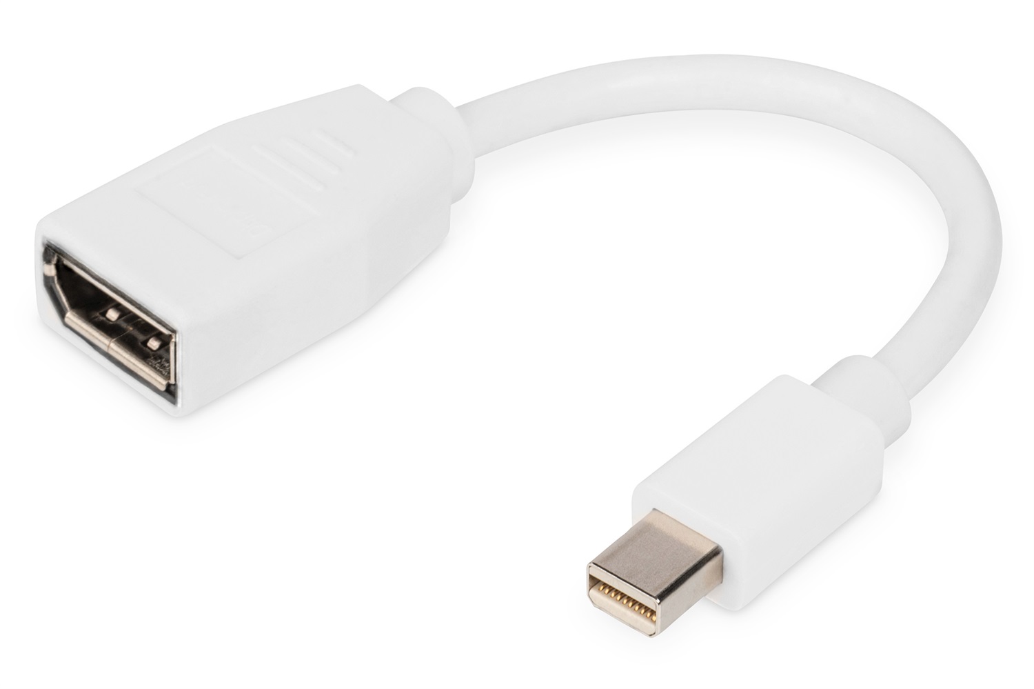 Digitus Cavo Adattatore DisplayPort Mini DP a DP - 0,15 m, Supporto 4K/30Hz, Bianco