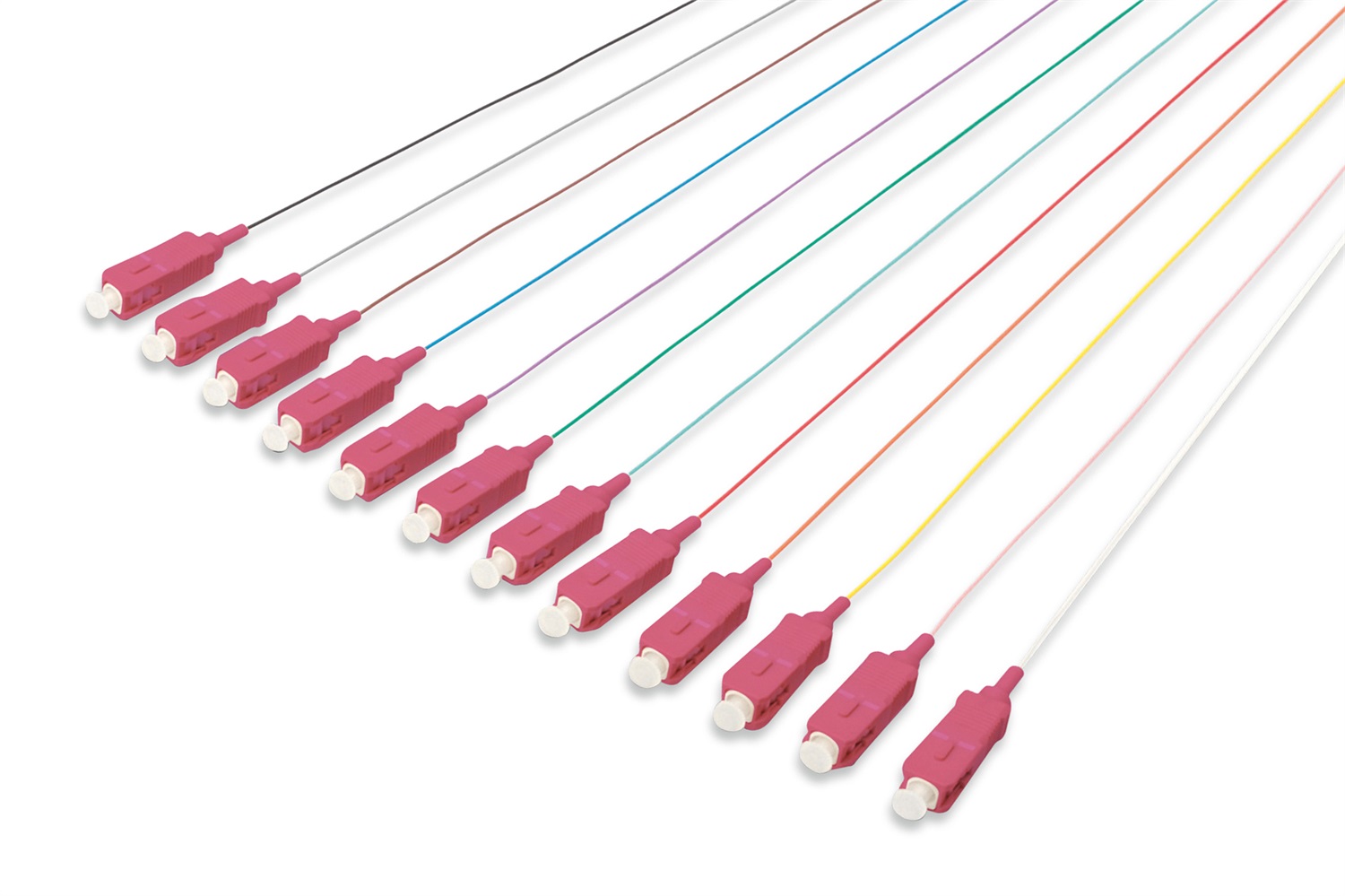 Digitus Set di 12 Cavi Pigtail Fibra Ottica Colorati SC OM4 50/125µ 2 m
