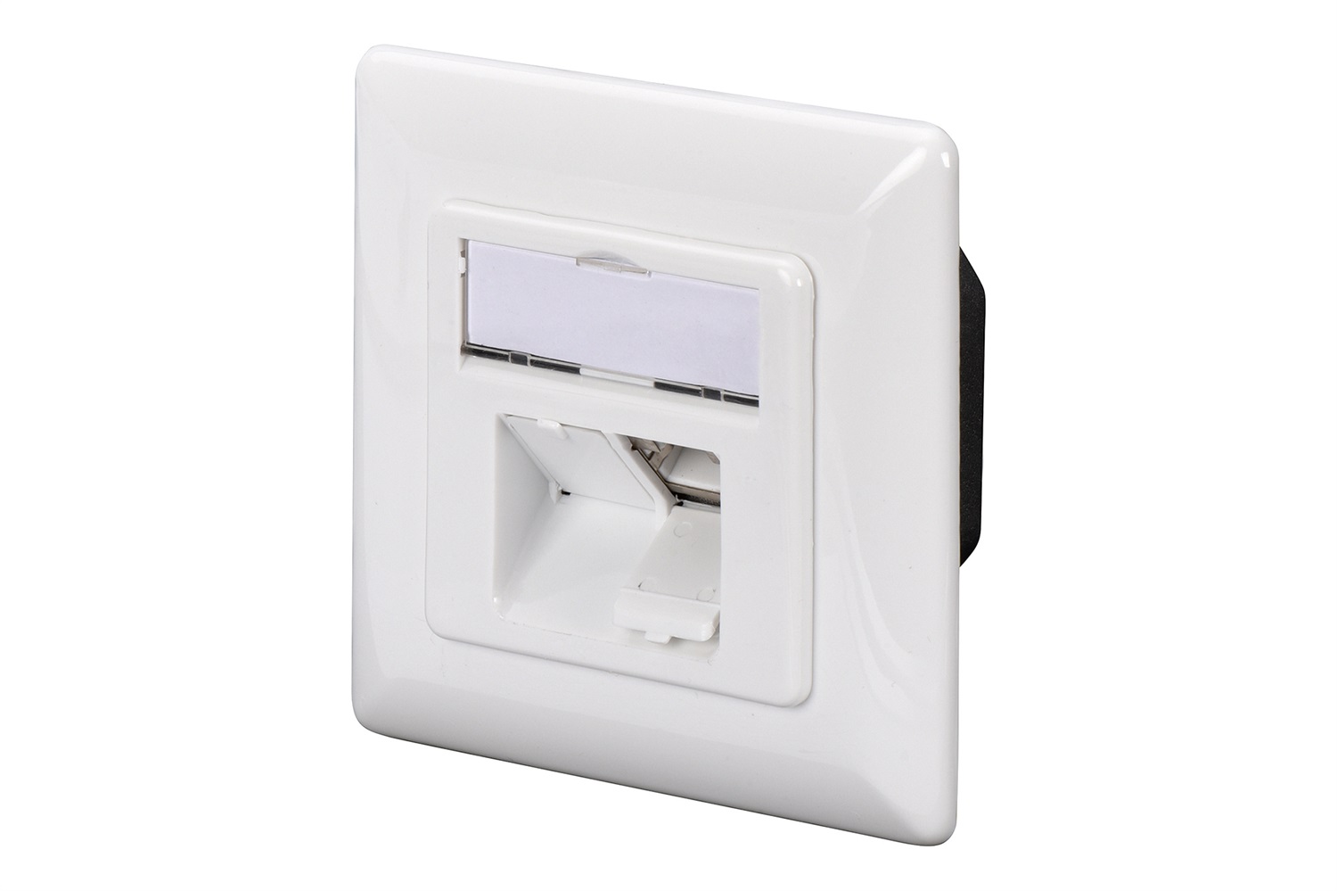 Digitus Scatola di Giunzione DN-9007-S-1 Cat.6A Bianco con 2xRJ45 Schermata