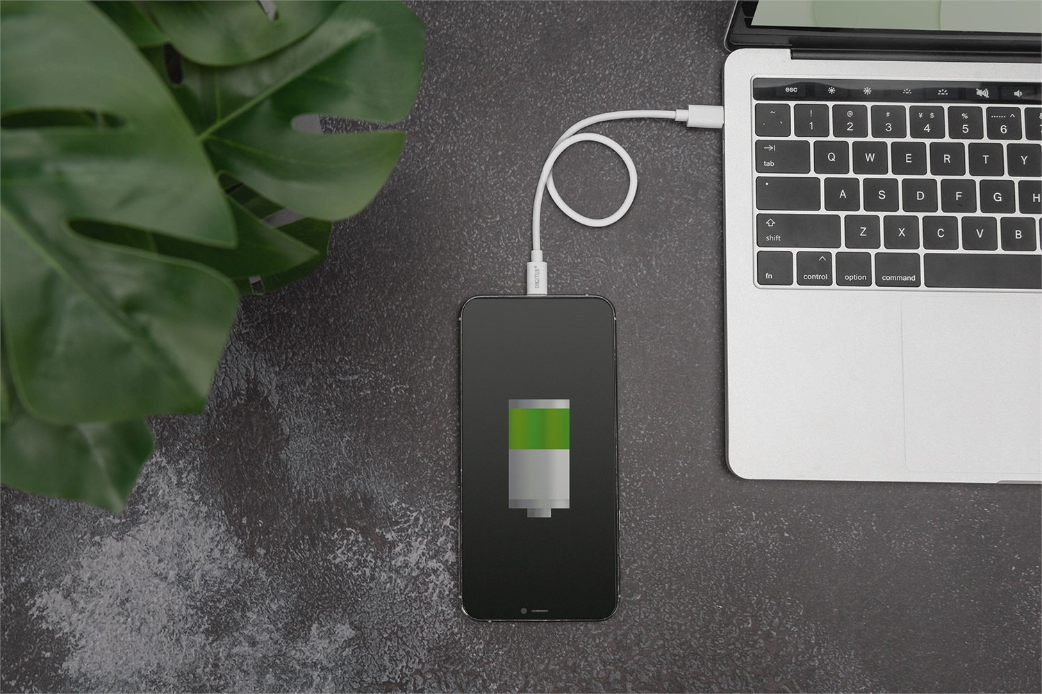 Digitus Cavo da Lightning a USB-C - Cavo dati/di ricarica MFI 2 m - Bianco, 9V/2A