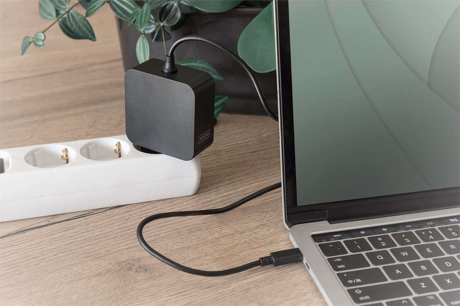 Digitus Caricatore per Notebook USB-C 65W con Cavo da 1,2m - Caricatore Rapido Power Delivery (PD 3.0) per MacBook, Lenovo, HP e Altri