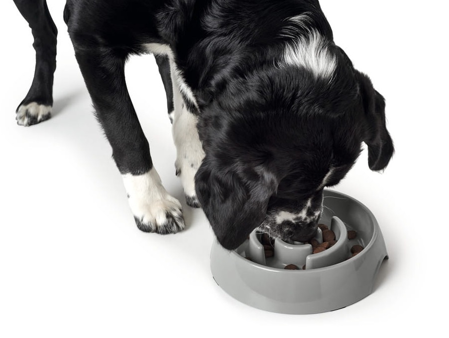 HUNTER Atlanta Ciotola Anti-Ingozzamento per Cani e Gatti, 550 ml, Melamina Grigia