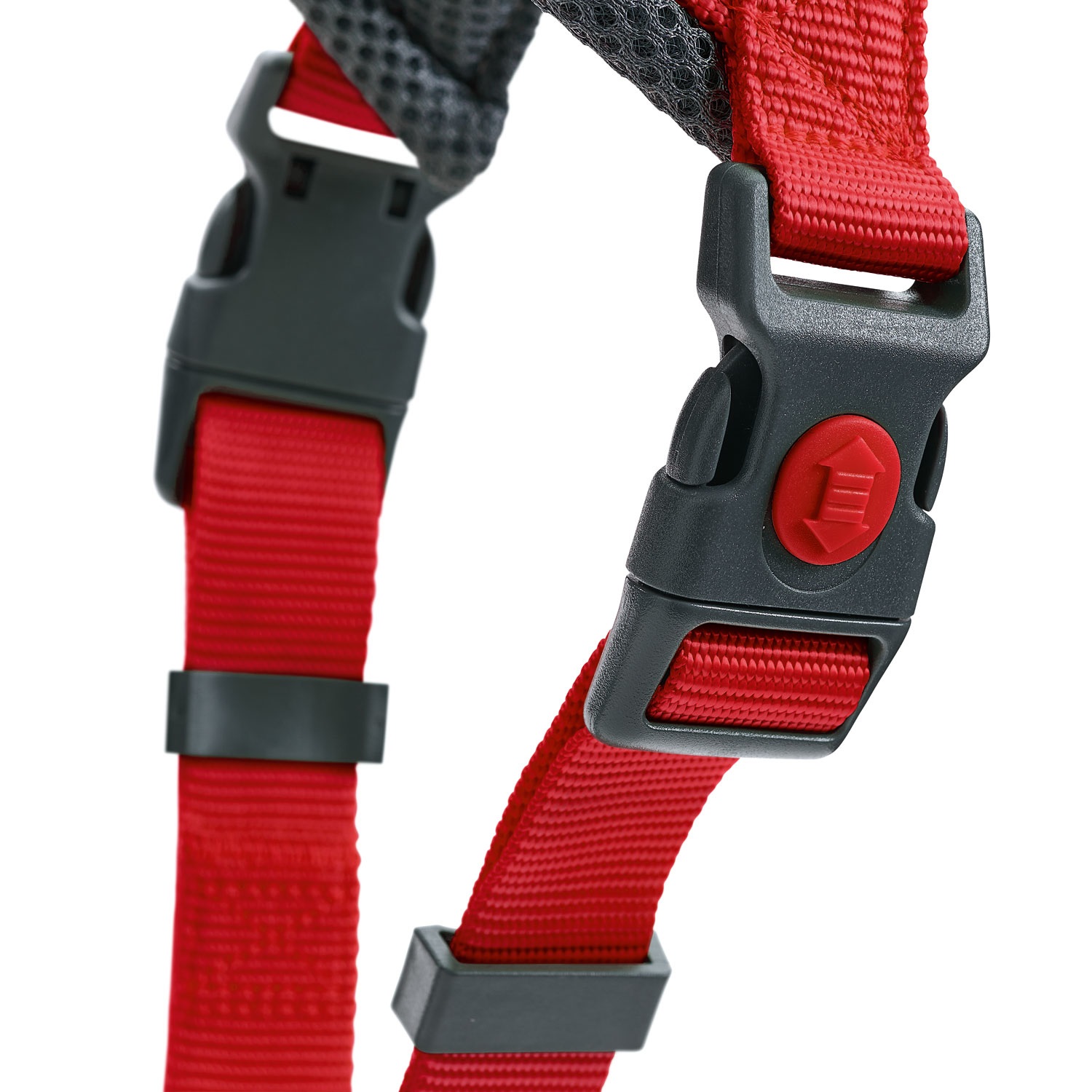 Hunter London Comfort Pettorina per Cani Rossa in Poliestere Antistrappo con Imbottitura Morbida - Taglia L (68-91 cm)