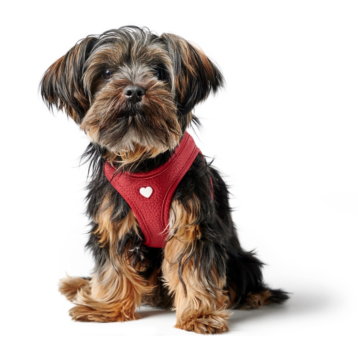 HUNTER Pettorina per cani Love rossa in morbida pelle bovina con imbottitura traspirante e cuore cucito a mano - Taglia XS