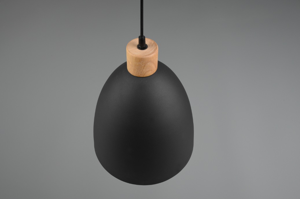Reality Jagger Lampada a Sospensione 1xE27 40W in Metallo Nero Opaco e Legno, Paralume Ø25cm, Pendolo Regolabile