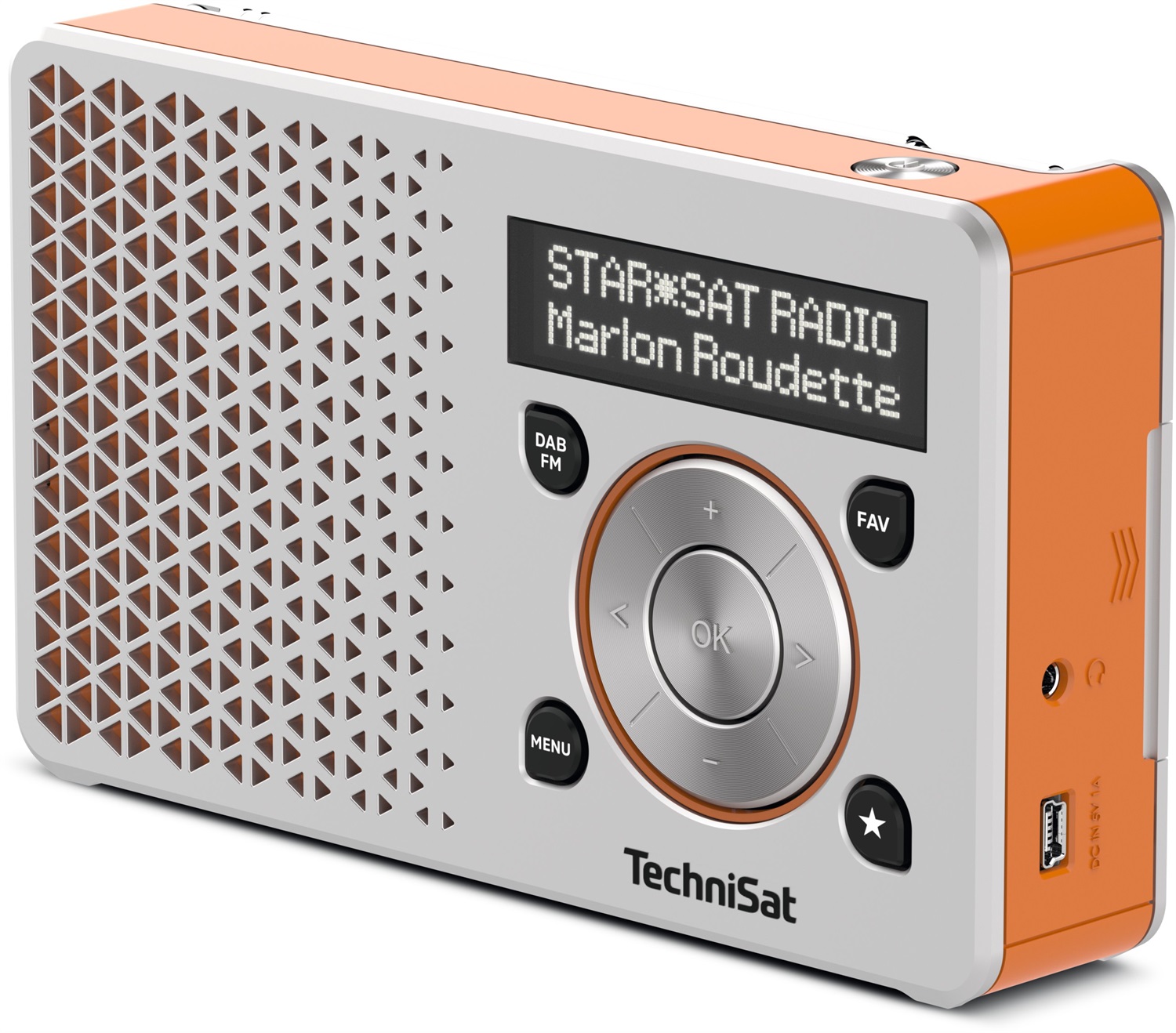 TechniSat DIGITRADIO 1 - Radio DAB Portatile con Batteria Ricaricabile, Display OLED, Ingresso per Cuffie e Memoria Preferiti