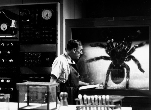 Plaion Pictures Tarantula - Blu-ray Tedesco, NR (Non valutato) - Distribuito da Koch Media GmbH