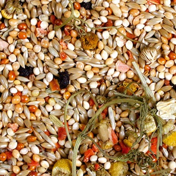 JR Farm Individual per Cocorite - Miscela di Sementi Bilanciata per Pappagallini Ondulati - 1 kg