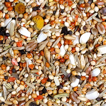 JR Farm Mangime Completo per Agapornidi - 1 kg