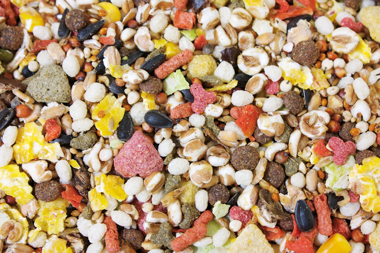 JR Farm Delizia per Ratti - Mangime Completo Naturale 2,5 kg Senza Pellets