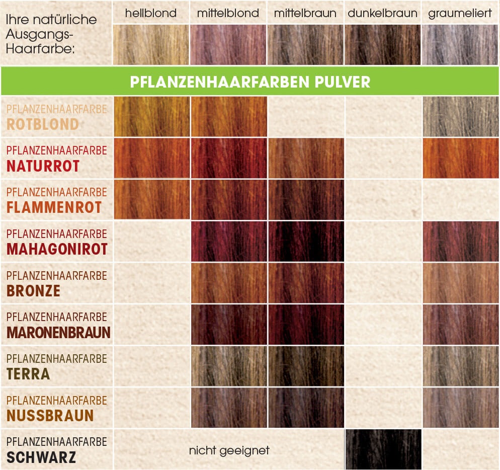 Sante Naturkosmetik Polvere Colorante per Capelli 100% Vegetale - Marrone Castano (Chestnut Brown) - 100 g, Colorazione Naturale e Permanente, Copertura Grigia, Vegano