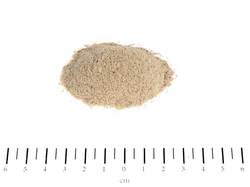 Canina Knoblauch Polvere 700g - Integratore Alimentare per Cani e Gatti con Aglio, Previene Disturbi della Vecchiaia e Repelle Zecche e Parassiti