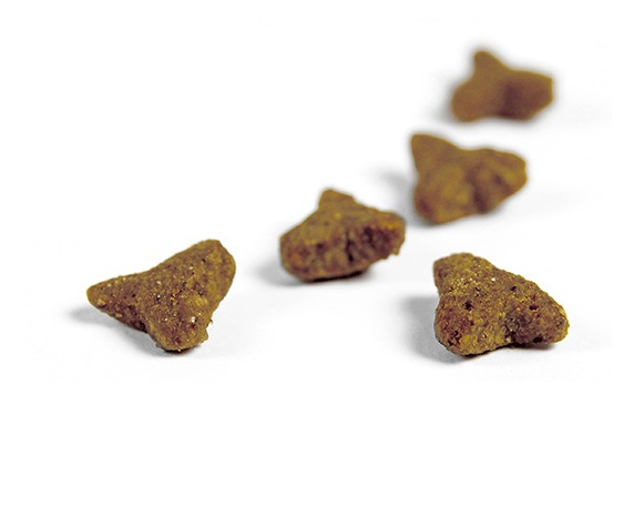 Josera NatureCat 400 g - Cibo secco per gatti adulti con 30% di pollame disidratato e 10% di salmone, senza cereali