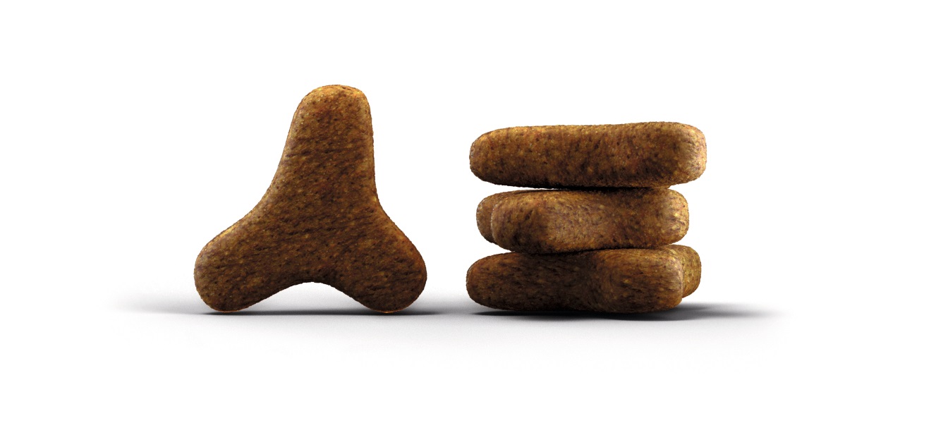 Josera Naturelle Crocchette per Gatti Adulto con Pollame e Trota - 2 kg, Senza Cereali e Additivi