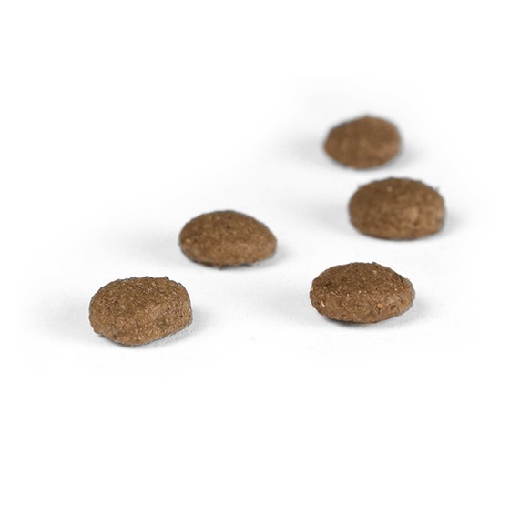 Josera Cibo Secco per Gatti Anziani - 2 kg, Basso Fosforo, Antiossidanti