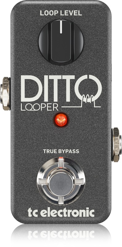 TC Electronic Ditto Looper - Effetto Looper a Pedale con 5 Minuti di Registrazione, Design Intuitivo e True-Bypass