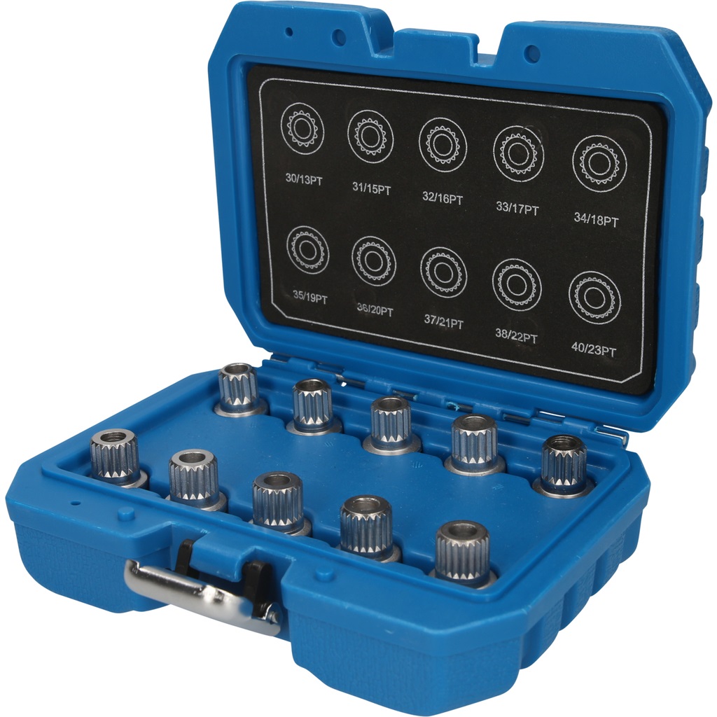 Brilliant Tools Set di Perni Antirrobo per BMW - 10 Pezzi con Profili per Smontaggio Dadi Ruota