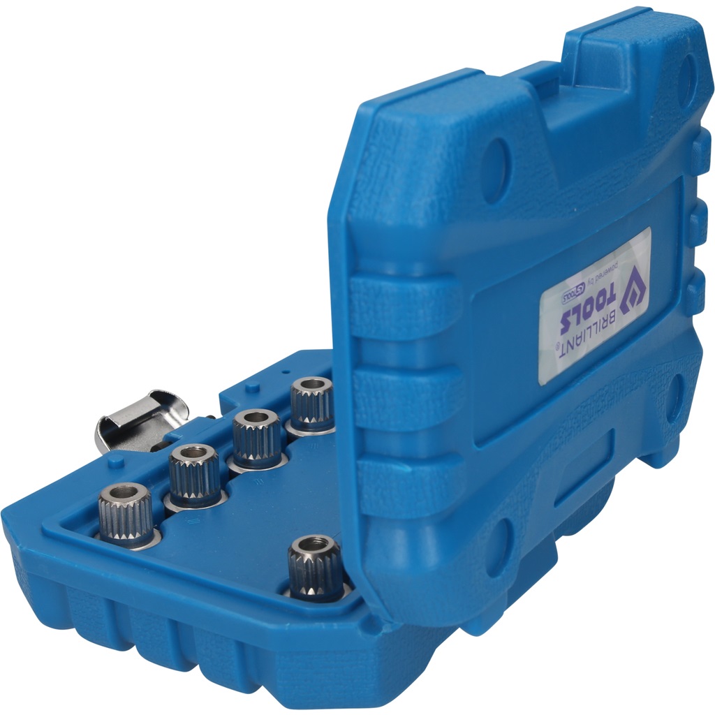 Brilliant Tools Set di Perni Antirrobo per BMW - 10 Pezzi con Profili per Smontaggio Dadi Ruota