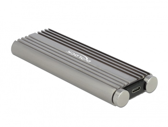 DeLOCK Custodia esterna per SSD M.2 NVMe PCIe - USB Type-C 20 Gbps (USB 3.2 Gen 2x2) in metallo argento, senza attrezzi
