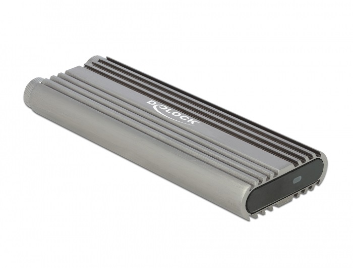 DeLOCK Custodia esterna per SSD M.2 NVMe PCIe - USB Type-C 20 Gbps (USB 3.2 Gen 2x2) in metallo argento, senza attrezzi