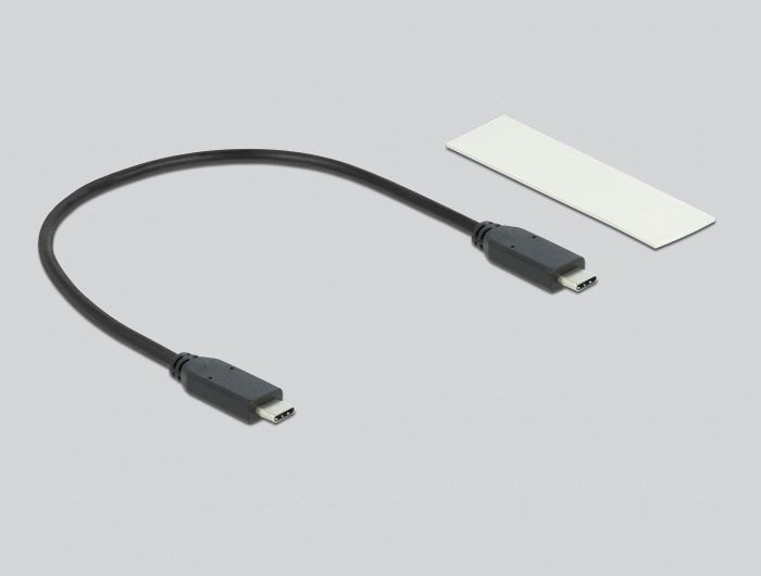 DeLOCK Custodia esterna per SSD M.2 NVMe PCIe - USB Type-C 20 Gbps (USB 3.2 Gen 2x2) in metallo argento, senza attrezzi