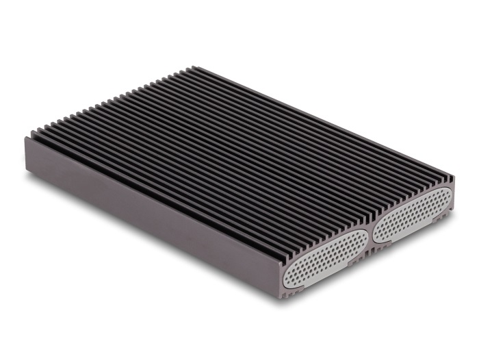 Delock Alloggiamento USB Type-C Dual Combo per 2 SSD M.2 PCIe NVMe e SATA