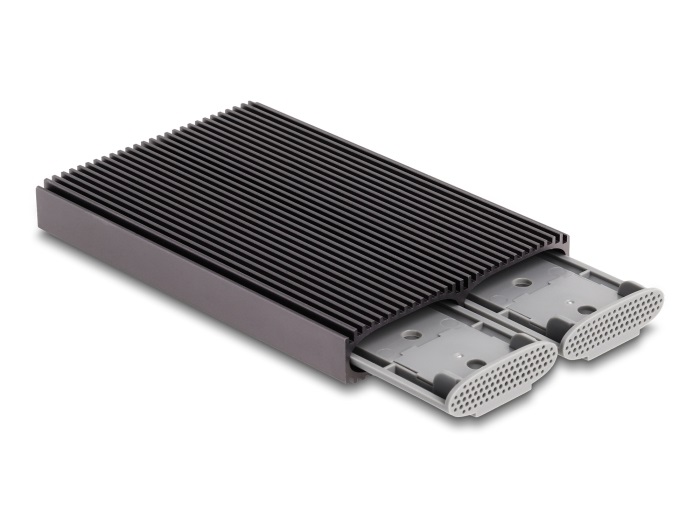 Delock Alloggiamento USB Type-C Dual Combo per 2 SSD M.2 PCIe NVMe e SATA