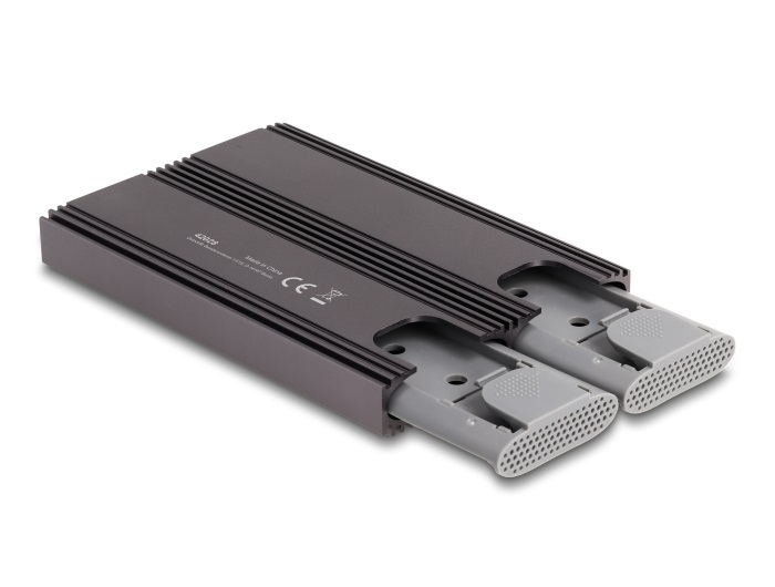 Delock Alloggiamento USB Type-C Dual Combo per 2 SSD M.2 PCIe NVMe e SATA