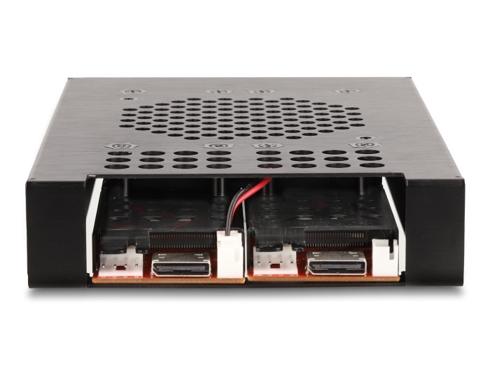 DeLOCK Rack mobile da 3.5