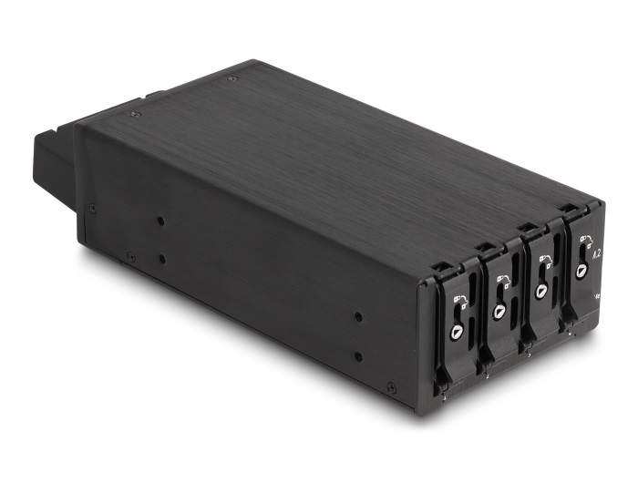 DeLOCK Bay Rack Mobile Sottile per 4 x M.2 NVMe SSD con Connettore Slim SAS SFF-8654 - Installazione in PC o Rack - Spedizione Gratuita
