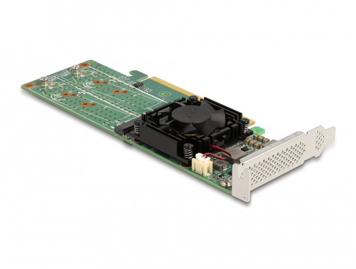 DeLOCK 90078 - Scheda di interfaccia M.2 NVMe a basso profilo con 4 canali PCIe 3.0 x16