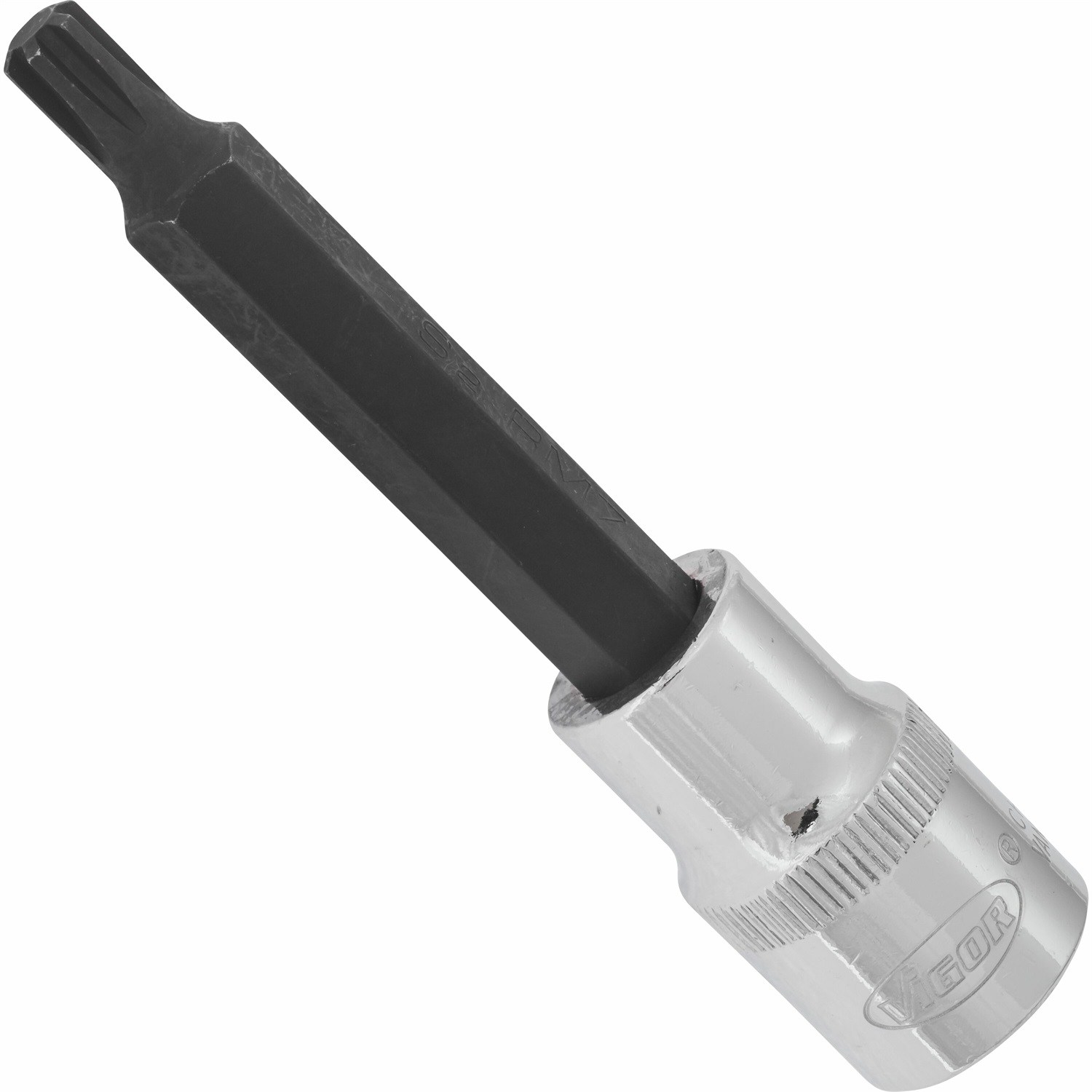 VIGOR V2213 Tronchetto RIBE 1/2