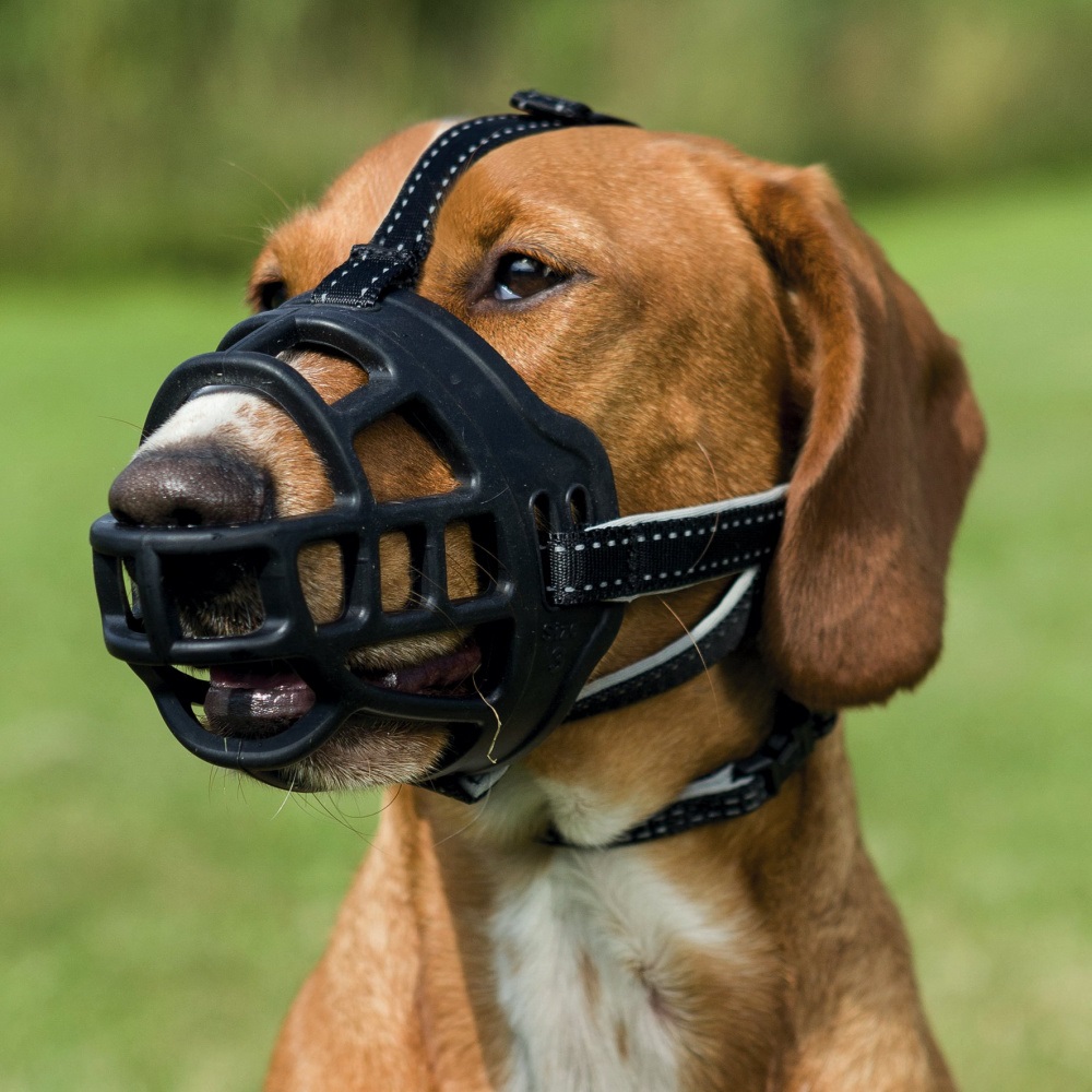 TRIXIE Museruola Flex Muzzle in Silicone - Taglia L, Ergonomica e Regolabile