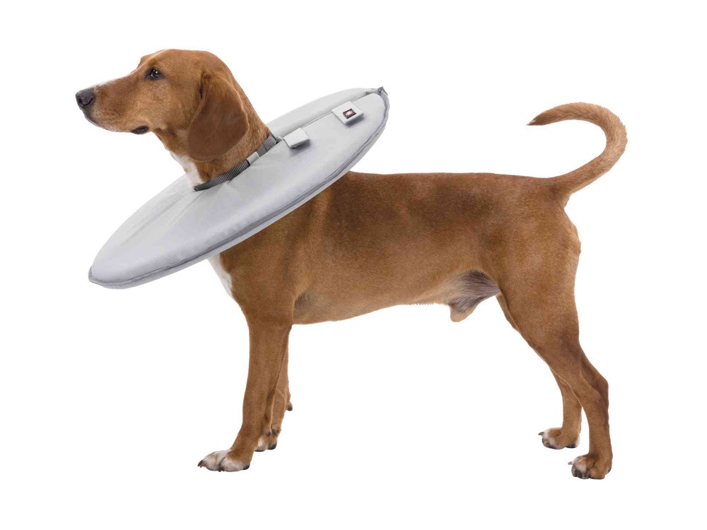 Trixie Collare Protettivo per Cani e Gatti Piccolo, Grigio, Circonferenza Collo 30-34 cm, Materiale Morbido ed Elastico