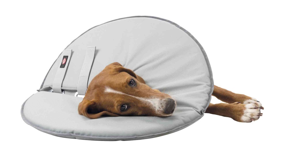 Trixie Collare di Protezione per Cani e Gatti - L-XL, Grigio, Circonferenza Collo 53-56 cm, Materiale Morbido ed Elastico