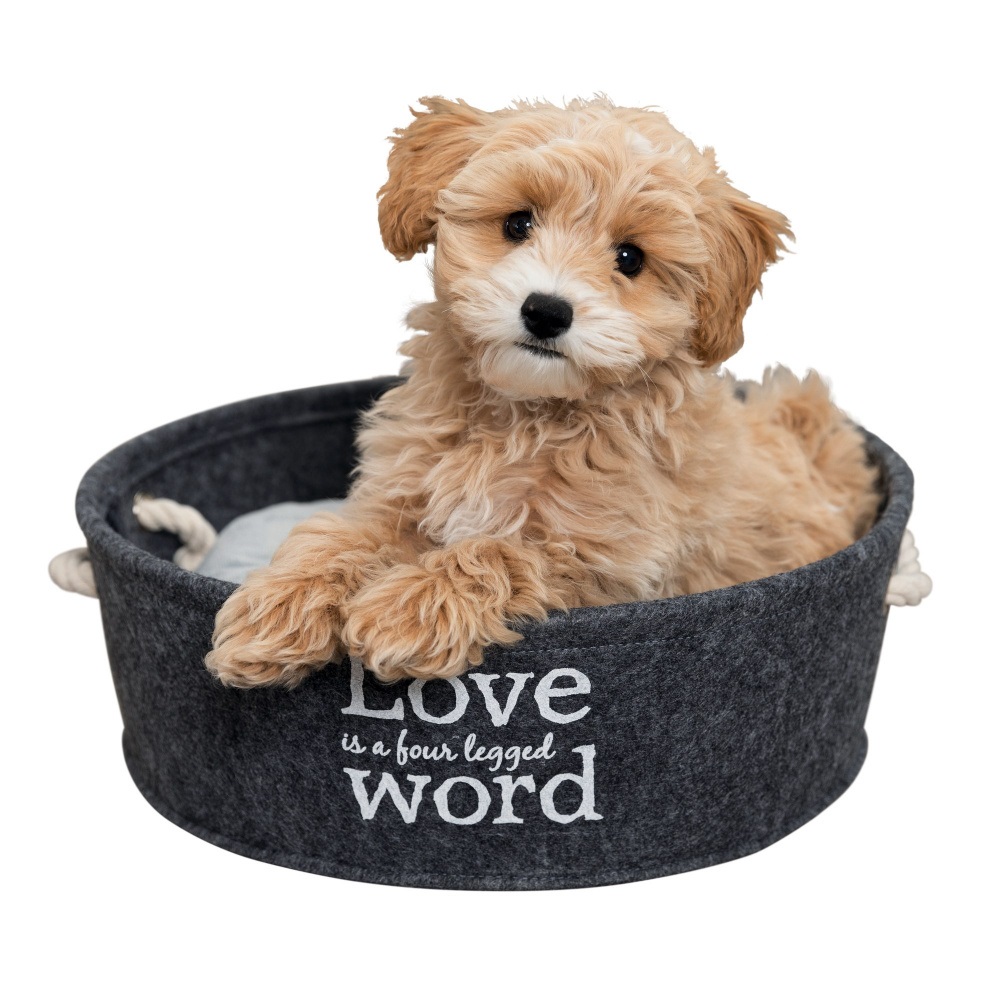 Trixie Letto Cuscino Lian 45 cm per Cani e Gatti - Feltro e Peluche, Bordo Rinforzato, Imbottitura in Fibra di Poliestere