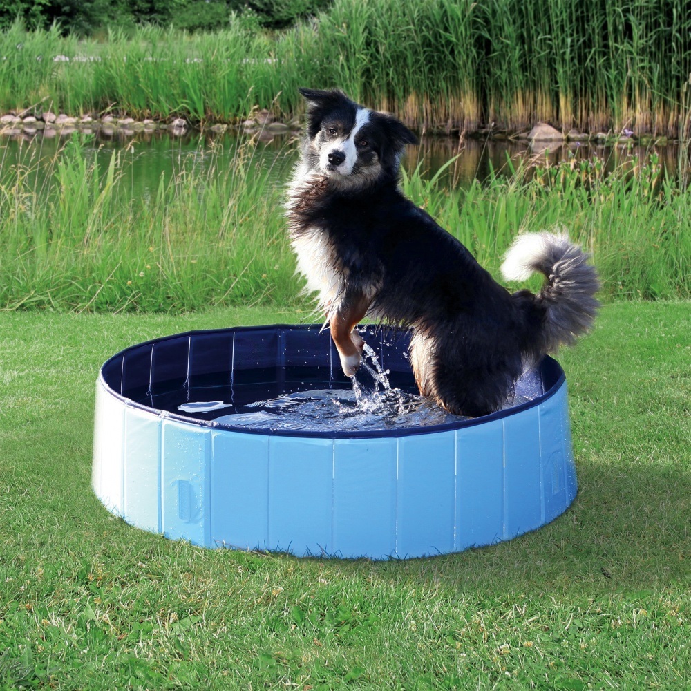 Trixie Piscina per Cani Azzurra 80x20 cm - Plastica Antigraffio con Struttura Stabile in MDF, Facile da Montare e Base Antiscivolo