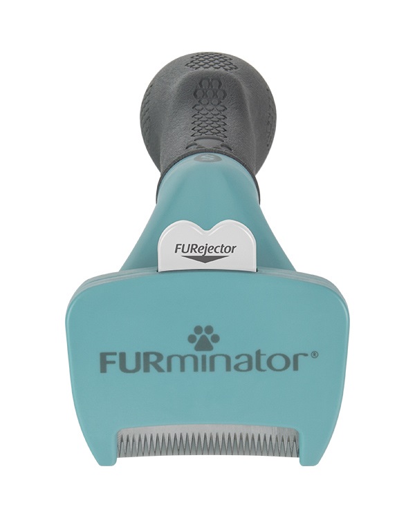 FURminator Strumento di deShedding per Gatti a Pelo Corto - Taglia S, Rimozione Peli Morti con Setole in Acciaio Inossidabile