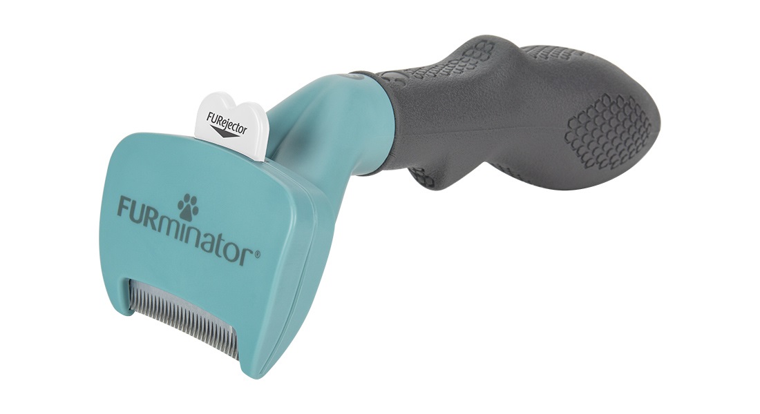 FURminator Strumento di deShedding per Gatti a Pelo Corto - Taglia S, Rimozione Peli Morti con Setole in Acciaio Inossidabile