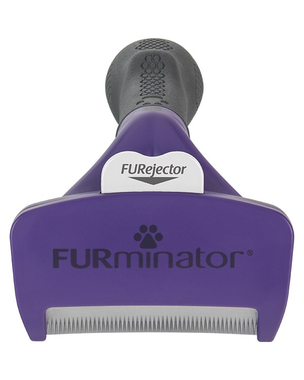 FURminator Strumento di deShedding Medium/Large per Gatti a Pelo Corto - Rimuove il Sottopelo e Riduce i Peli Morti