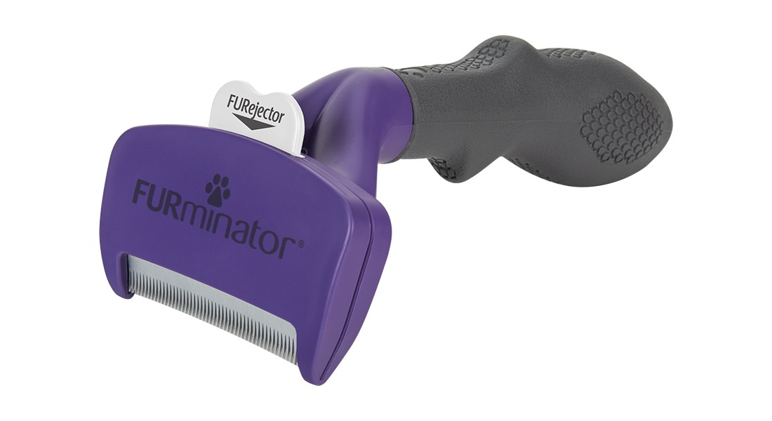 FURminator Strumento di deShedding Medium/Large per Gatti a Pelo Corto - Rimuove il Sottopelo e Riduce i Peli Morti