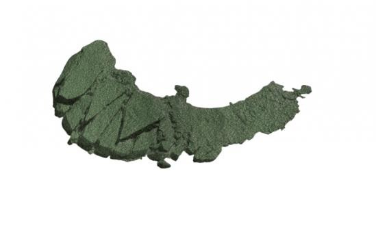 Wet n Wild Color Icon Eyeshadow Single Ombretto 1.7 g Verde Marino Alta Pigmentazione Formula a Lunga Tenuta Vegan - Tonalità Envy