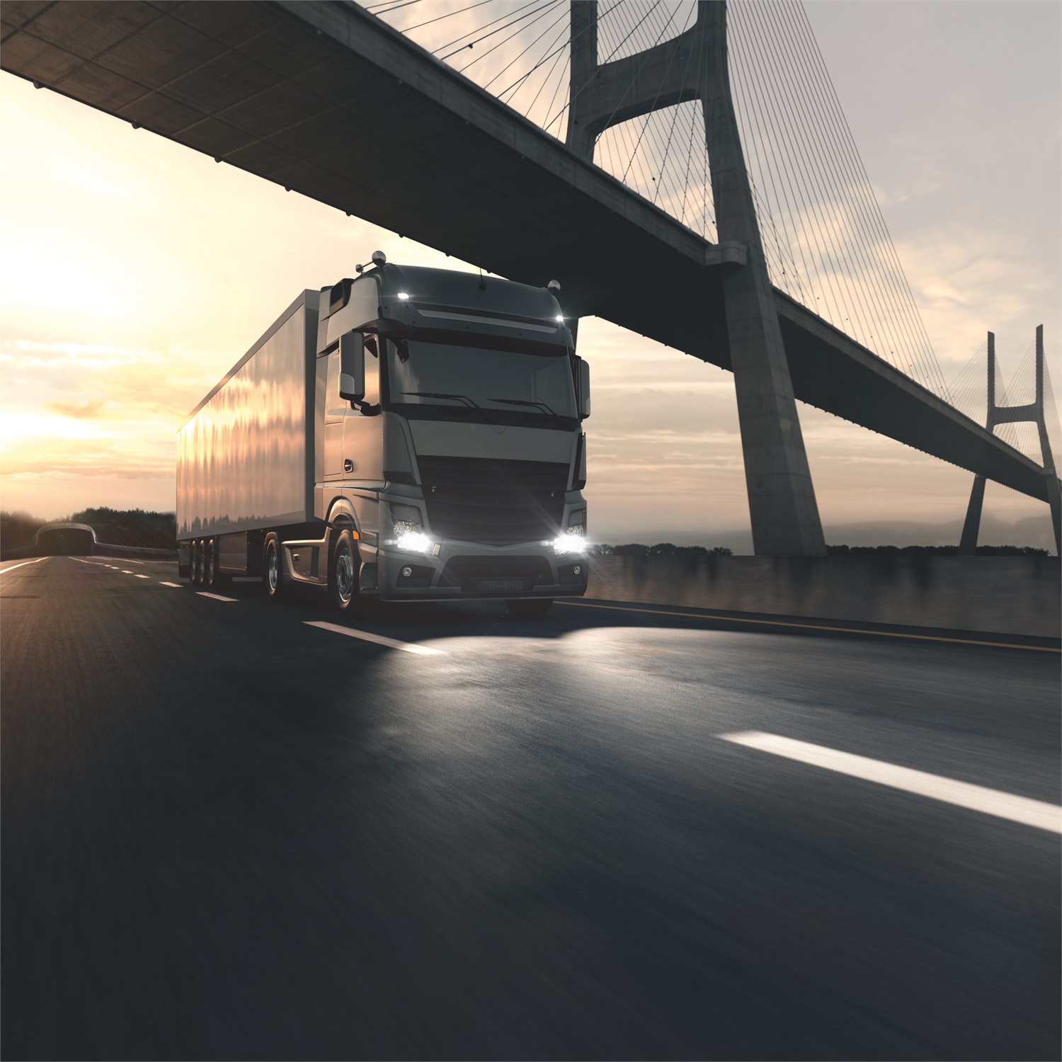 Osram P21W Lampadina per Auto BA15s 21W 24V - Qualità Originale