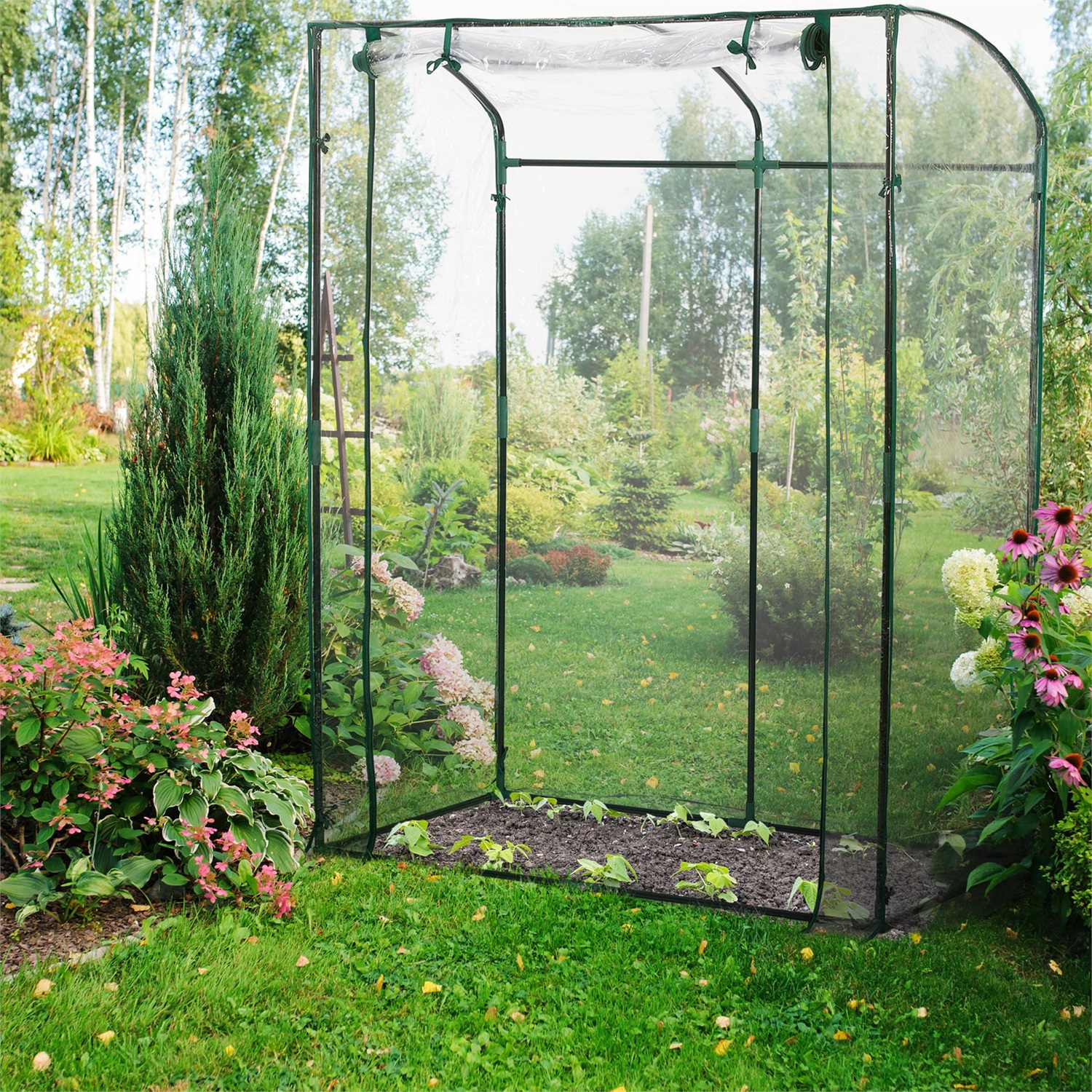 Relaxdays Serra da Orto per Pomodori - Telo in PVC, Dimensioni 170 x 130 x 75 cm, Protezione per Piante Giardino