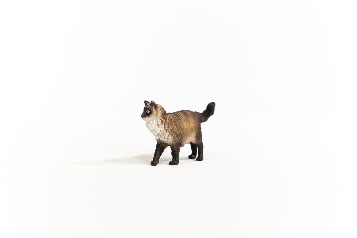 Schleich Gatto Ragdoll 13940 - Figurina dipinta a mano della collezione Farm World con occhi blu