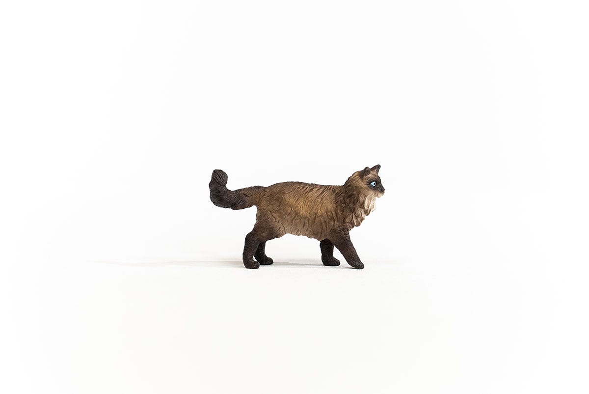 Schleich Gatto Ragdoll 13940 - Figurina dipinta a mano della collezione Farm World con occhi blu