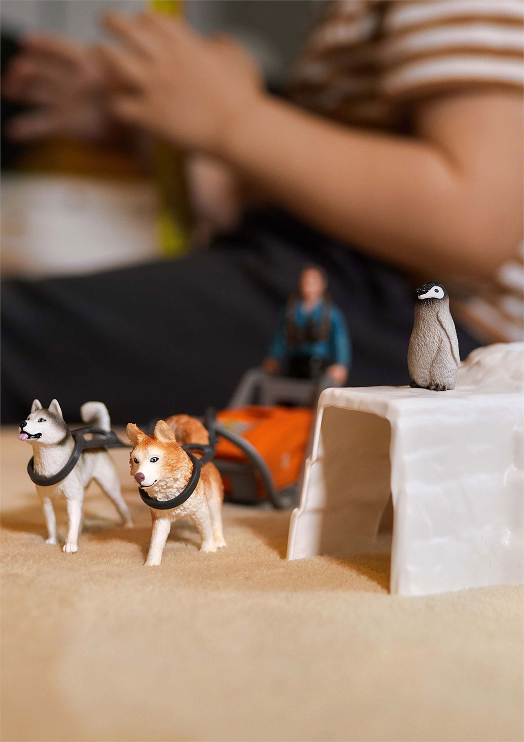 SCHLEICH Spedizione Antartide - Playset Wild Life con Ranger Tom, Slitta e Igloo, 19 Pezzi per Bambini da 3 Anni