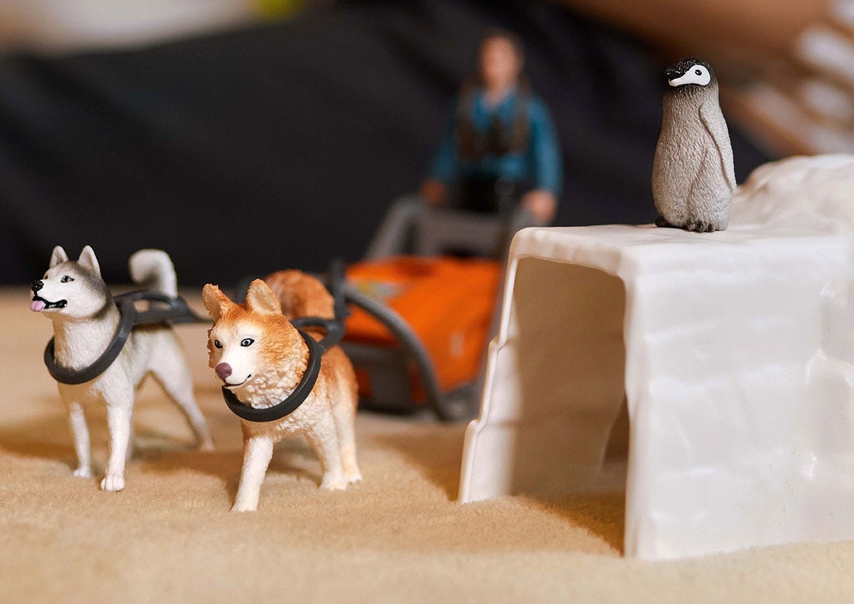 SCHLEICH Spedizione Antartide - Playset Wild Life con Ranger Tom, Slitta e Igloo, 19 Pezzi per Bambini da 3 Anni